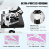Microscopio trinocular compuesto