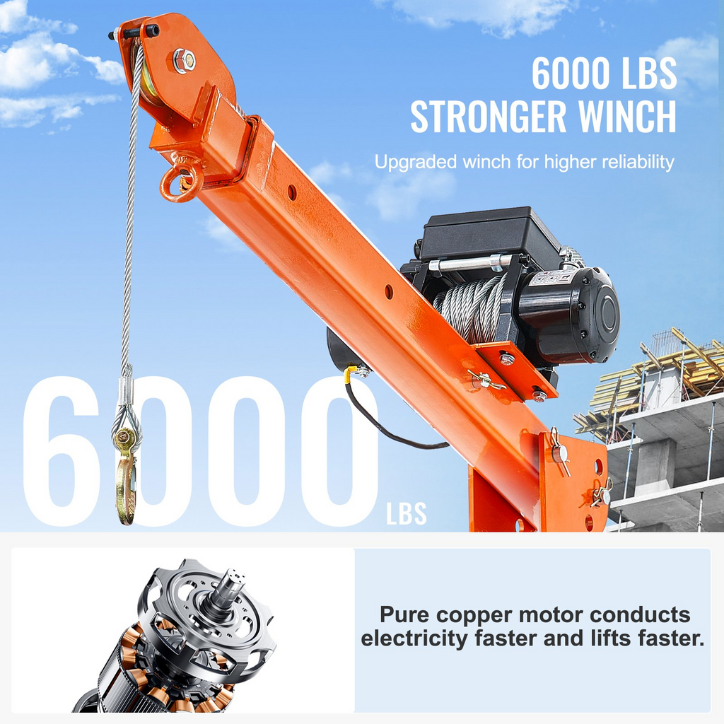 79508407
